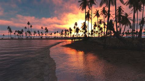 Nature Landscape Tropical Beach Sunset Palm Sea Clouds Sky Sand