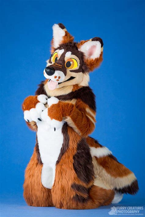 This Is A Really Cute Fursuit And I Would Love To Try One On To See If