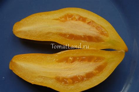 Томат Оранжевый банан ОТЗЫВЫ фото урожайность описание и