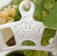 Ceiling pulley clothes drying rack nz. 15 best images about drying racks on Pinterest ...