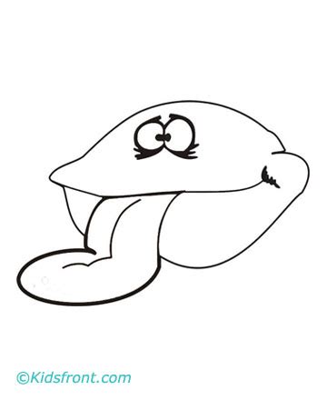 Snail and giant clam coloring books for adults relaxation 50 pictures: Clam Coloring Pages Printable