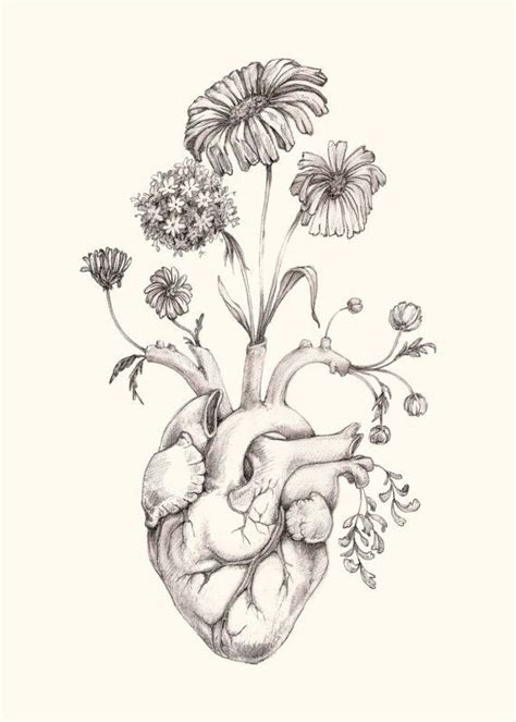 Heart roses frame drawing by elakwasniewski 3/342. 8x10" PRINT of original drawing "Blooming Heart"- graphite, art, anatomy, floral, heart ...