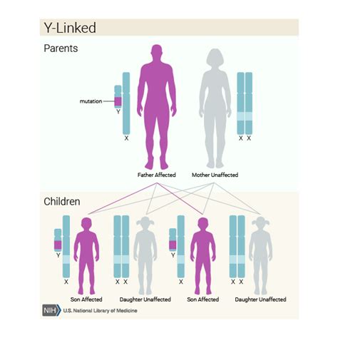 Swyer Syndrome Genetics Home Reference Nih