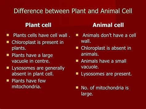 In animal cells, the mitochondria produces the majority of the cells energy from food. Plant and Animalcell