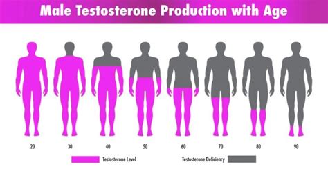 How Does Testosterone Level Affect Men Male Hormone Deficiency