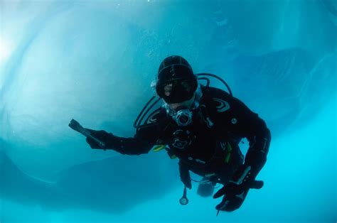 Diving in Greenland - experience Greenland under water - [Visit Greenland!]