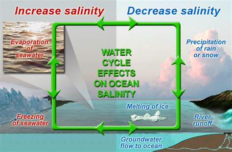 What Is Salinity And Its Effects On Ocean Water