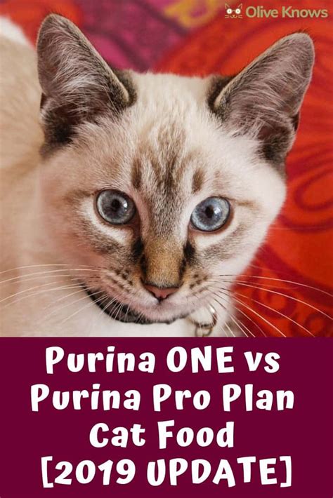 For purina pro plan, tubs of wet dog food were recalled in 2016 because of inadequate amounts of vitamins and minerals. Purina ONE vs Purina Pro Plan Cat Food [2021 UPDATE ...