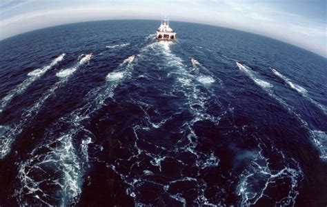 Coastal Review Online Seismic Testing For Oil Natural Gas On Hold As