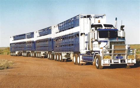 56 Best Cattle Trucks Images On Pinterest Cattle Big Trucks And Semi