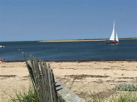 If your home has pests, you'll want to get rid of them. Pin by Mabes on ACK | Nantucket island, Coastal lifestyle ...