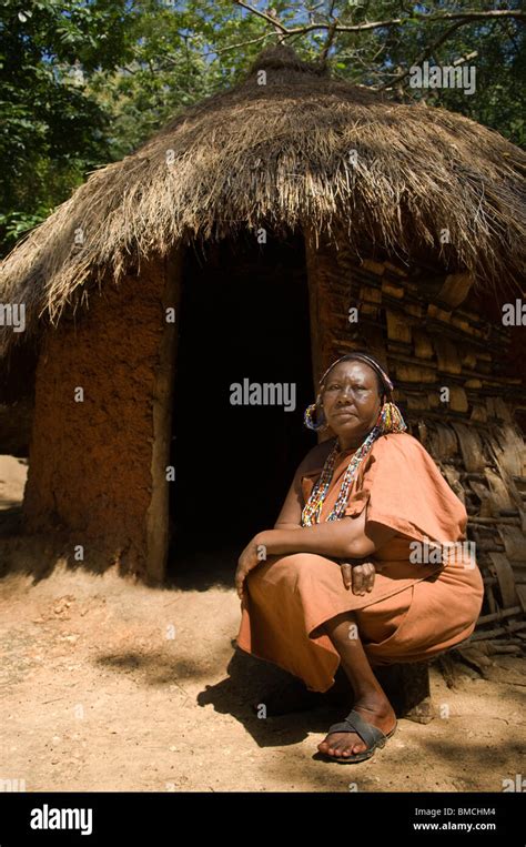 Kikuyu Woman At Her Hut Ngomongo Village Kenya Stock Photo Alamy