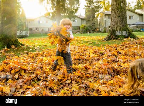 Children Playing With Leaves In Autumn Stock Photo Alamy