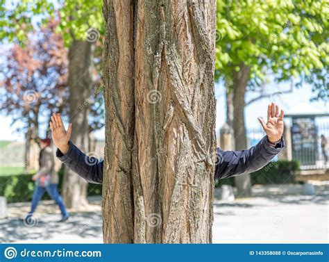 Man Hiding Behind Tree Stock Images - Download 158 Royalty Free Photos