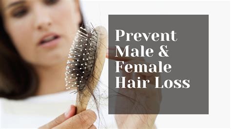 How To Prevent Male And Female Hair Loss Seek A Biz