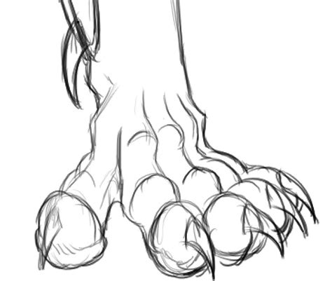 Werewolf Cat Werewolf Paw