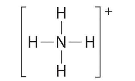 Nh4 Dot Structure