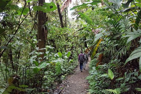 Monteverde Cloud Forest Costa Rica Specialists