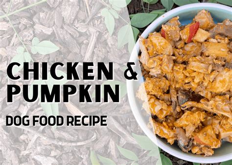Turkey And Pumpkin Homemade Dog Food Recipe The Canine Health Nut