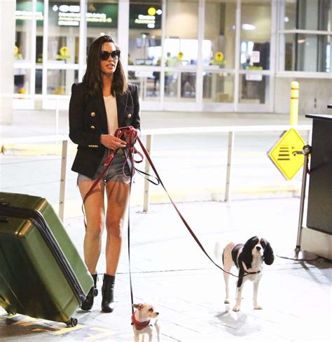 Olivia Munn With Her Dogs Arriving In Vancouver 03 Gotceleb