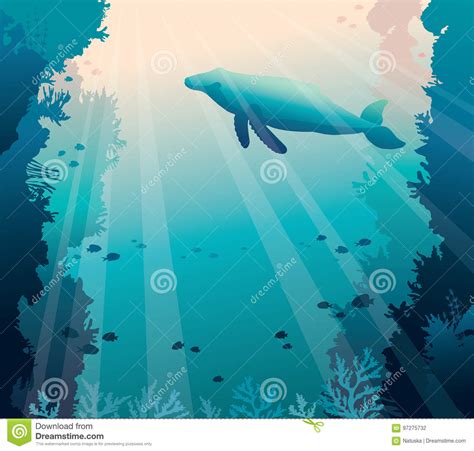 Whale, Coral Reef and Sea. Underwater Vector. Stock Vector
