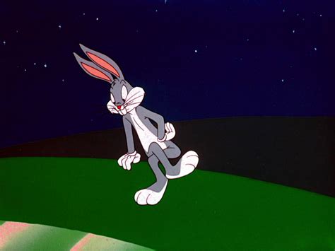 Looney Tunes Pictures Long Haired Hare
