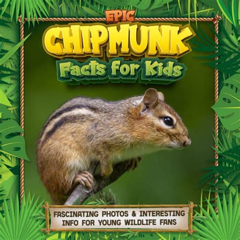Epic Chipmunk Facts For Kids Fascinating Photos And Interesting Info For