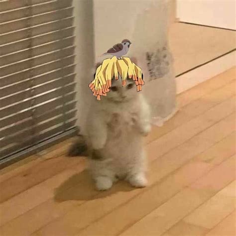 Pin By 蔣博丞 On Memes ̀ ω ́ Anime Kitten Anime Funny Anime Cat