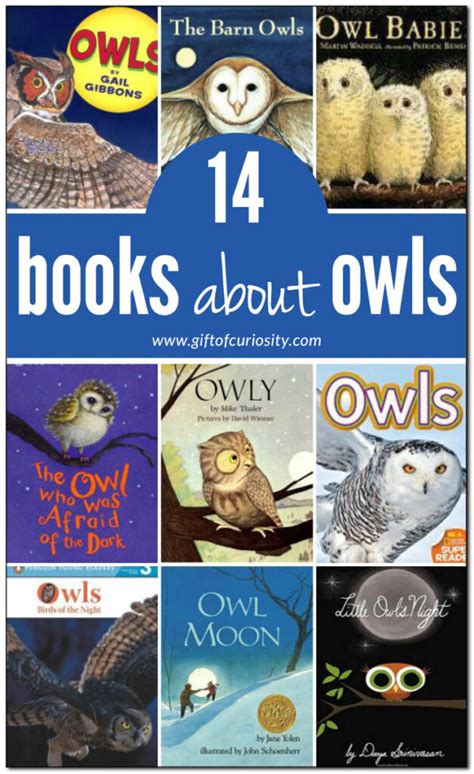 Books About Owls For Kids T Of Curiosity