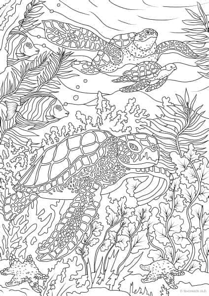 Ocean Life Turtles Printable Adult Coloring Pages From