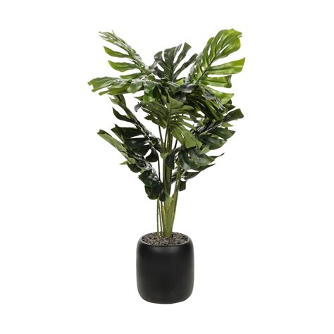 We did not find results for: Best Fake Flowers For Outside | Artificial plants ...