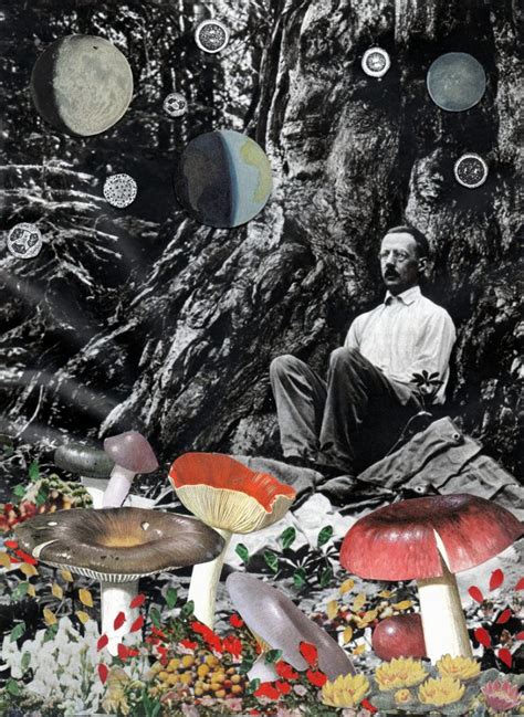 Artistic Fusion Celebrating The 10 Best Collage Artists Of Our Time