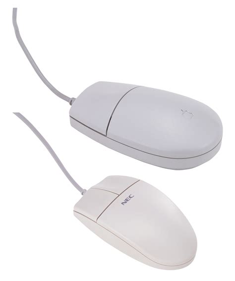 White Computer Mouse Png Png Image Collection
