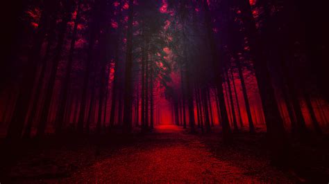 2560x1440 Red Forest 1440P Resolution Wallpaper, HD Nature 4K