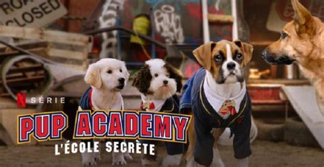 Pup Academy Saison 3 Quelle date de sortie Netflix Suite prévue