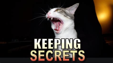 Talking Kitty Cat 53 Keeping Secrets Youtube
