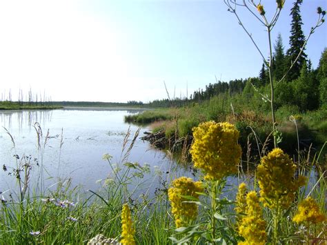 Cross Lake Provincial Park Alberta 2methylethel Flickr