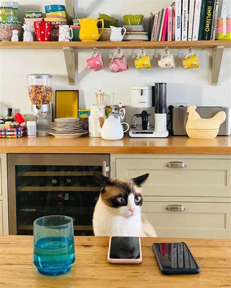 El arte de la cocina corre por sus venas. Decoración cocinas: Las cocinas de los famosos en ...