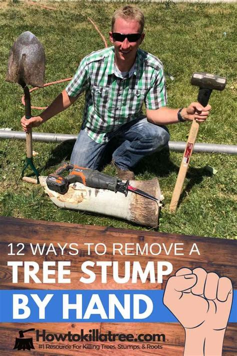 Production still takes place in ølholm near tørring in. 12 Ways To Remove A Tree Stump By Hand - Backyardables ...