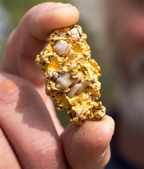 You can find gold mostly in california and in the cracks on highways. The History Blog » Blog Archive » Britain's biggest gold ...