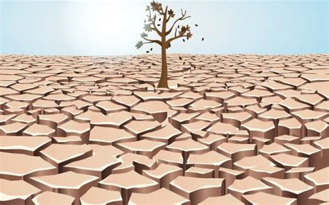 Drought Illustrations Royalty Free Vector Graphics And Clip Art Istock