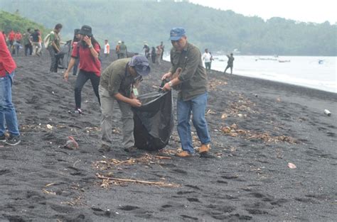 Upt Klhk Sulut Lepasliarkan 200 Ekor Tukik Di Pantai Twa Batu Putih