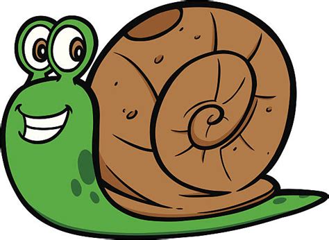Royalty Free Snail Clip Art Vector Images And Illustrations Istock