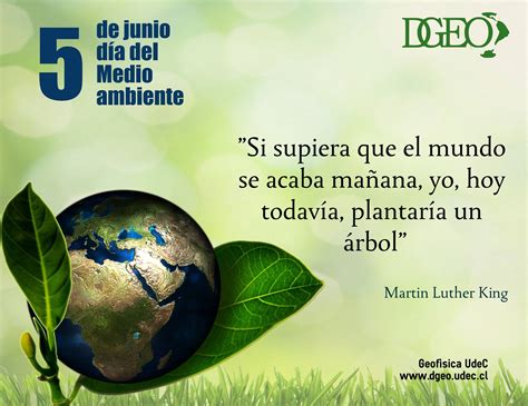 Celebrando El Día Mundial Del Medio Ambiente GeofÍsica En Tu Colegio