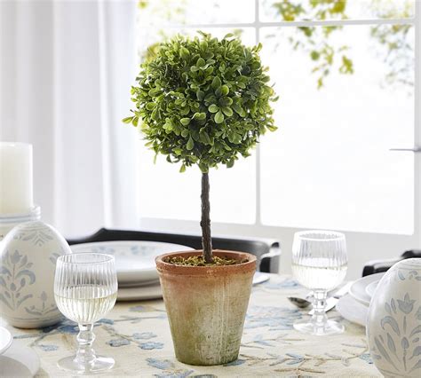 Faux Boxwood Topiary Pottery Barn