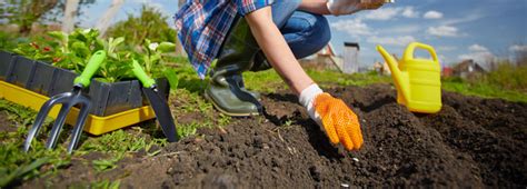 You have to be really careful to. How Much Grass Seed Do I Need? | Boston Seeds