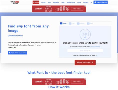 Fonts Identified From Common Objects Complete How To