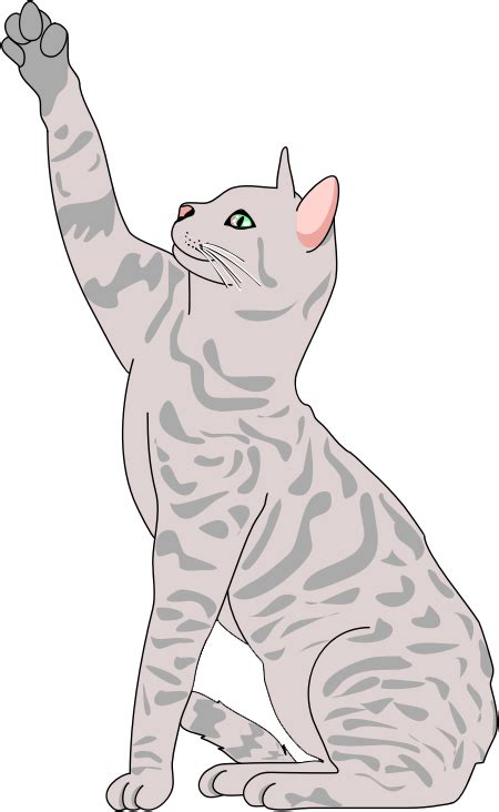 Cat Clipart Png Realistic Clip Art Cat Clip Art Library