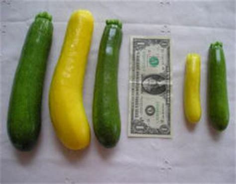 It depends on the weight. Squash Research 2