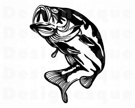 Free Largemouth Bass Bass Fish Svg Free SVG PNG EPS DXF File